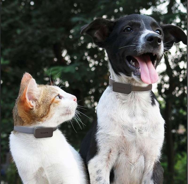 Invoxia Mini Tracker LWT2