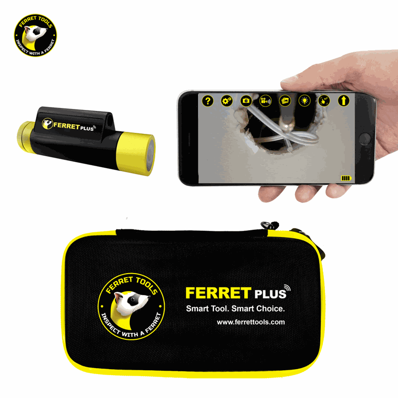 Ferret Plus